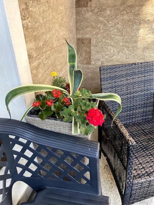 Casa Del Sole - Beautiful Studio In Varna Bulgaria Apartment Bagian luar foto